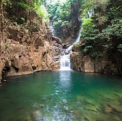 อุทยานแห่งชาติน้ำตกพลิ้ว